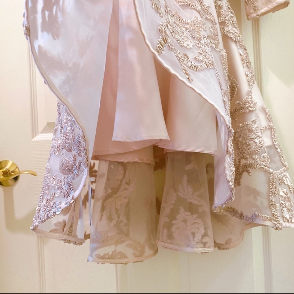 Mesh Dress - Picture 6 of 6